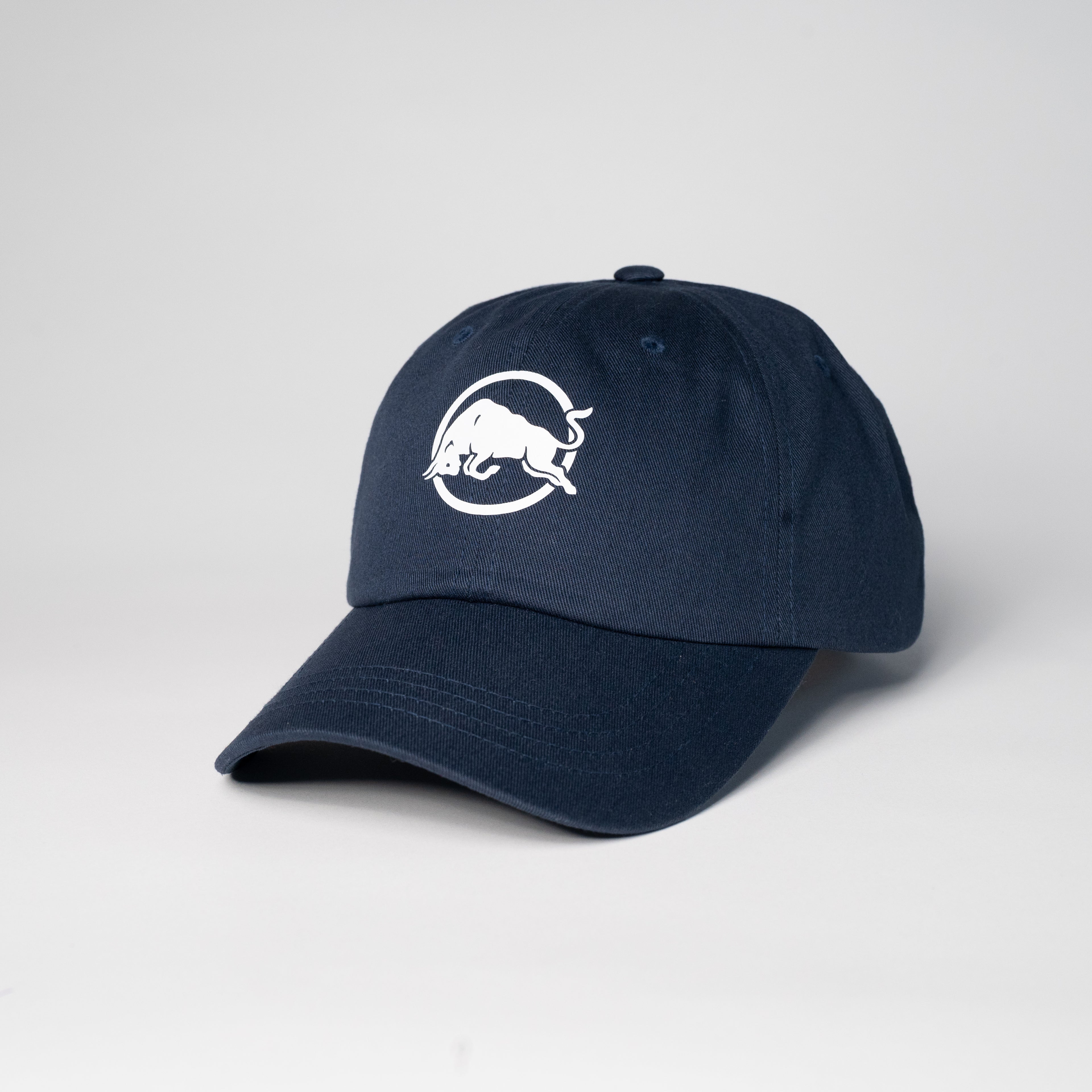 Bull In Circle Dad Hat