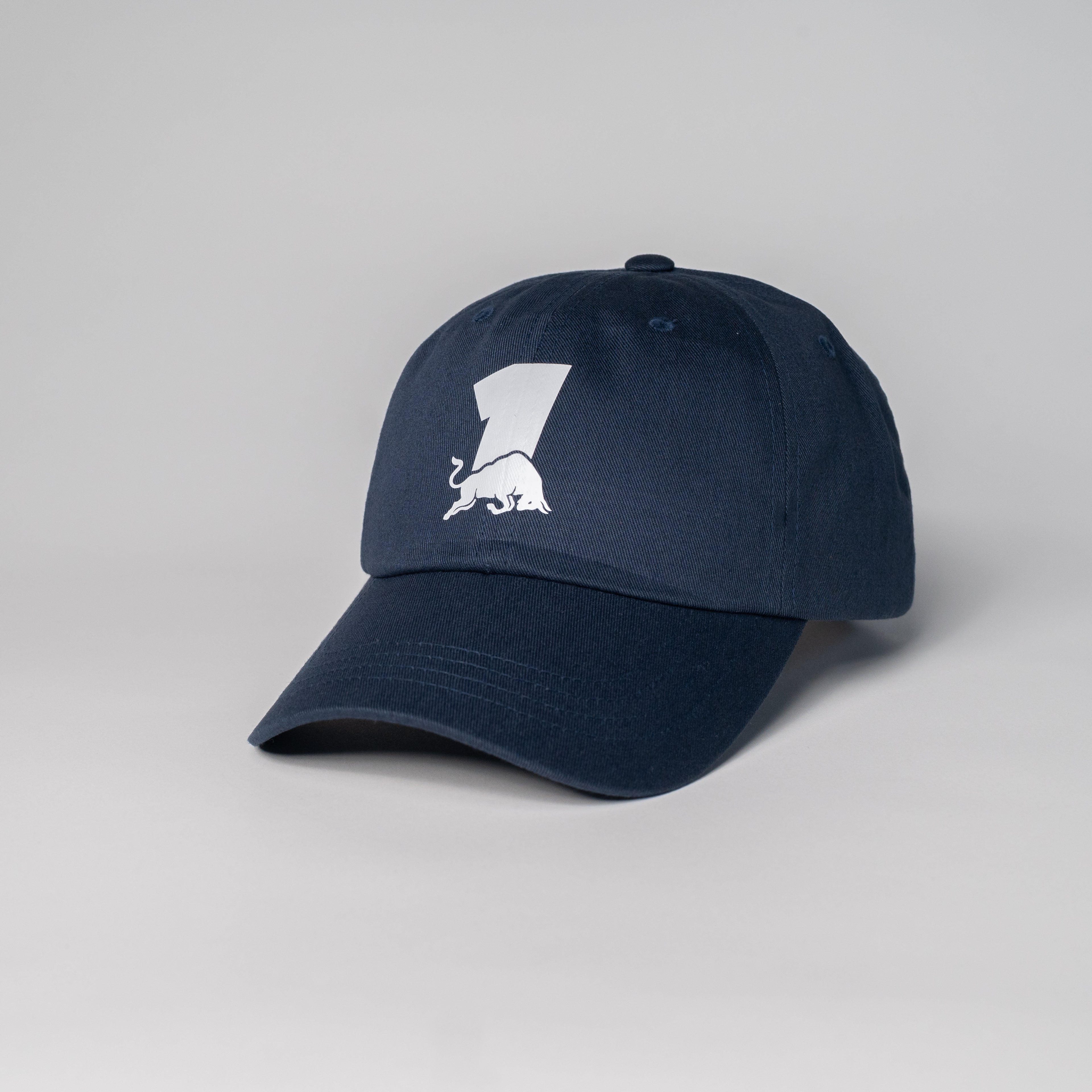 Max 1 Bull Dad Hat