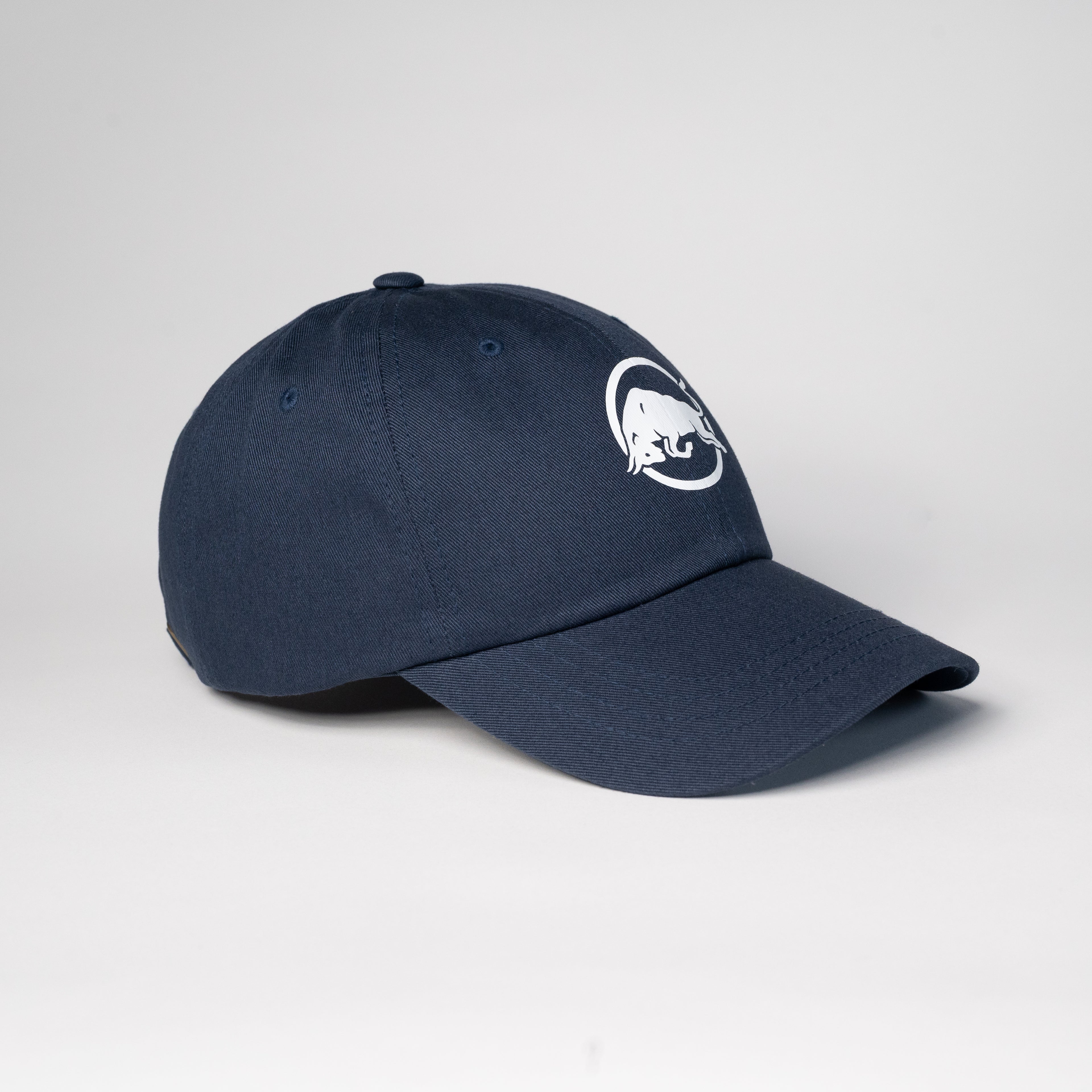 Bull In Circle Dad Hat