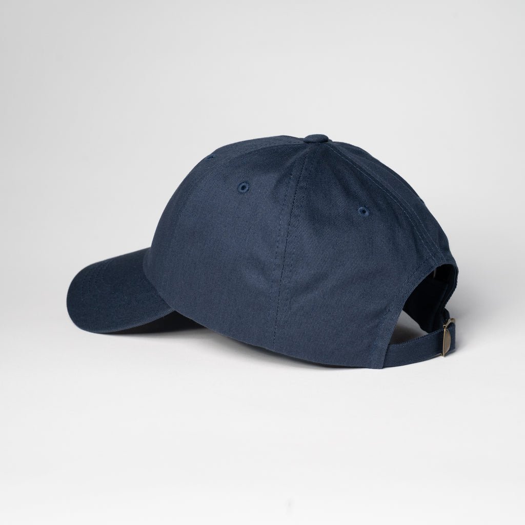 Bull In Circle Dad Hat